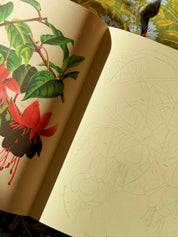 John Derian Colouring Book: Flowers