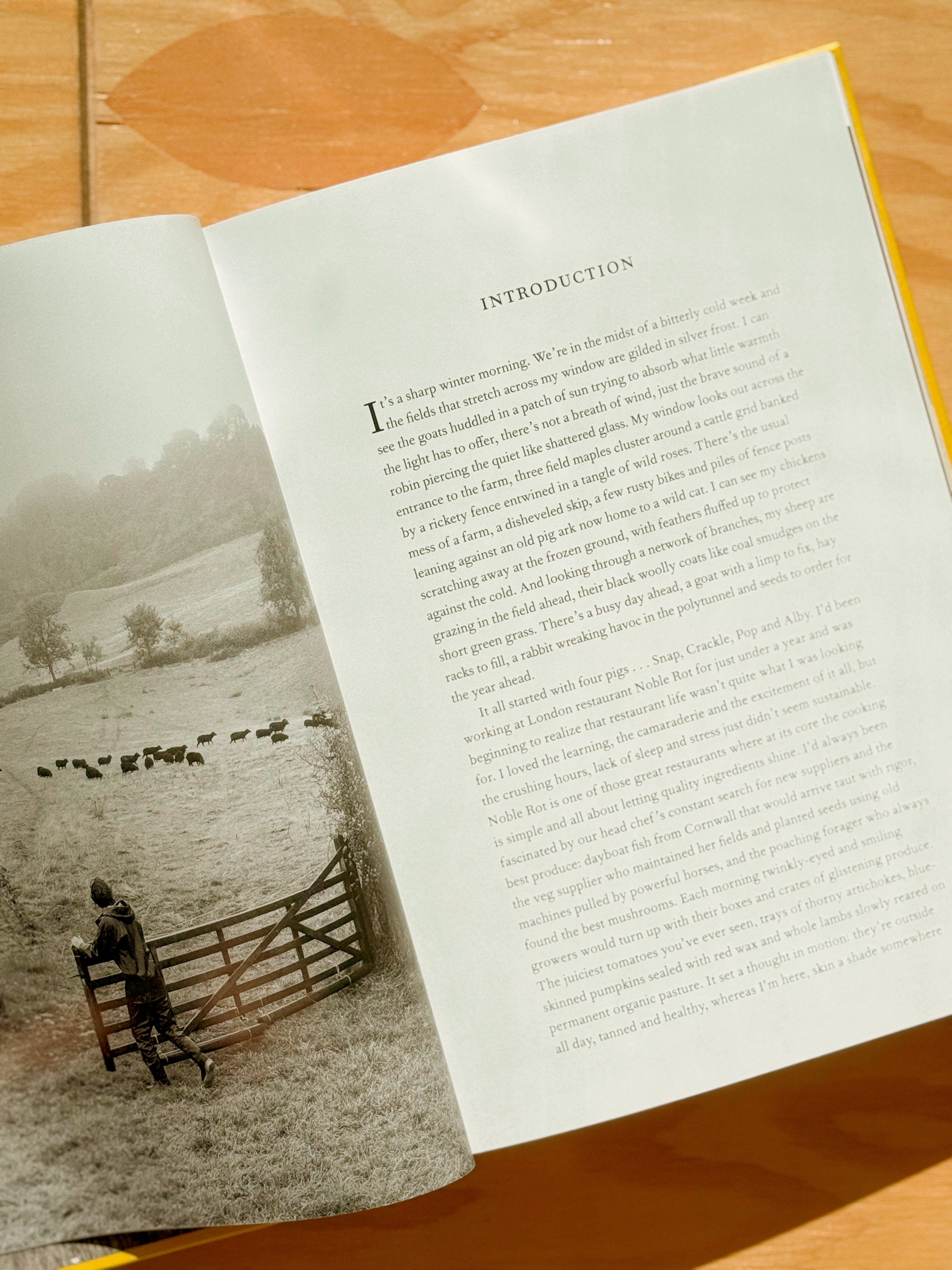 The Farm Table