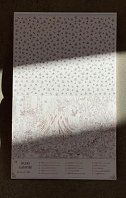 Brown Bear Wood: A Search-and-Find | Coloring Book