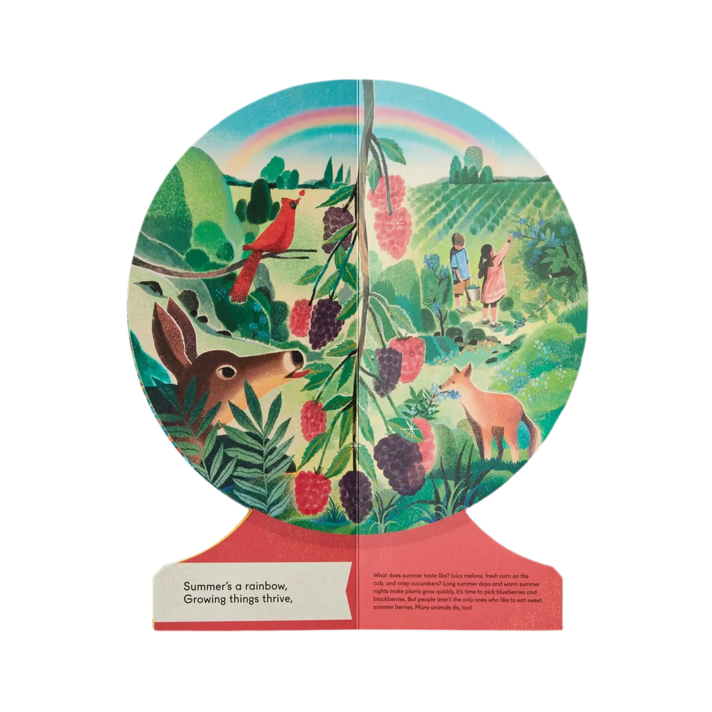 Our Seasons: The World In Winter, Spring, Summer, And Autumn