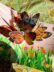 Beautiful Bugs | Nature Pop-Ups