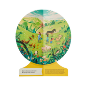Our Seasons: The World In Winter, Spring, Summer, And Autumn