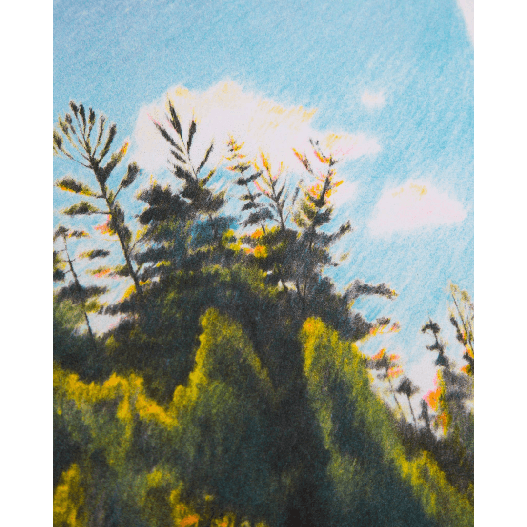 Close up of an illustration of trees with a blue sky and sun in the background