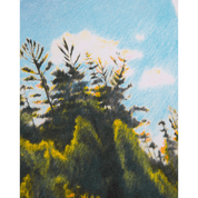 Close up of an illustration of trees with a blue sky and sun in the background