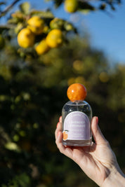 Hand holding a glass bottle of everything spray with lemons on a tree in the background