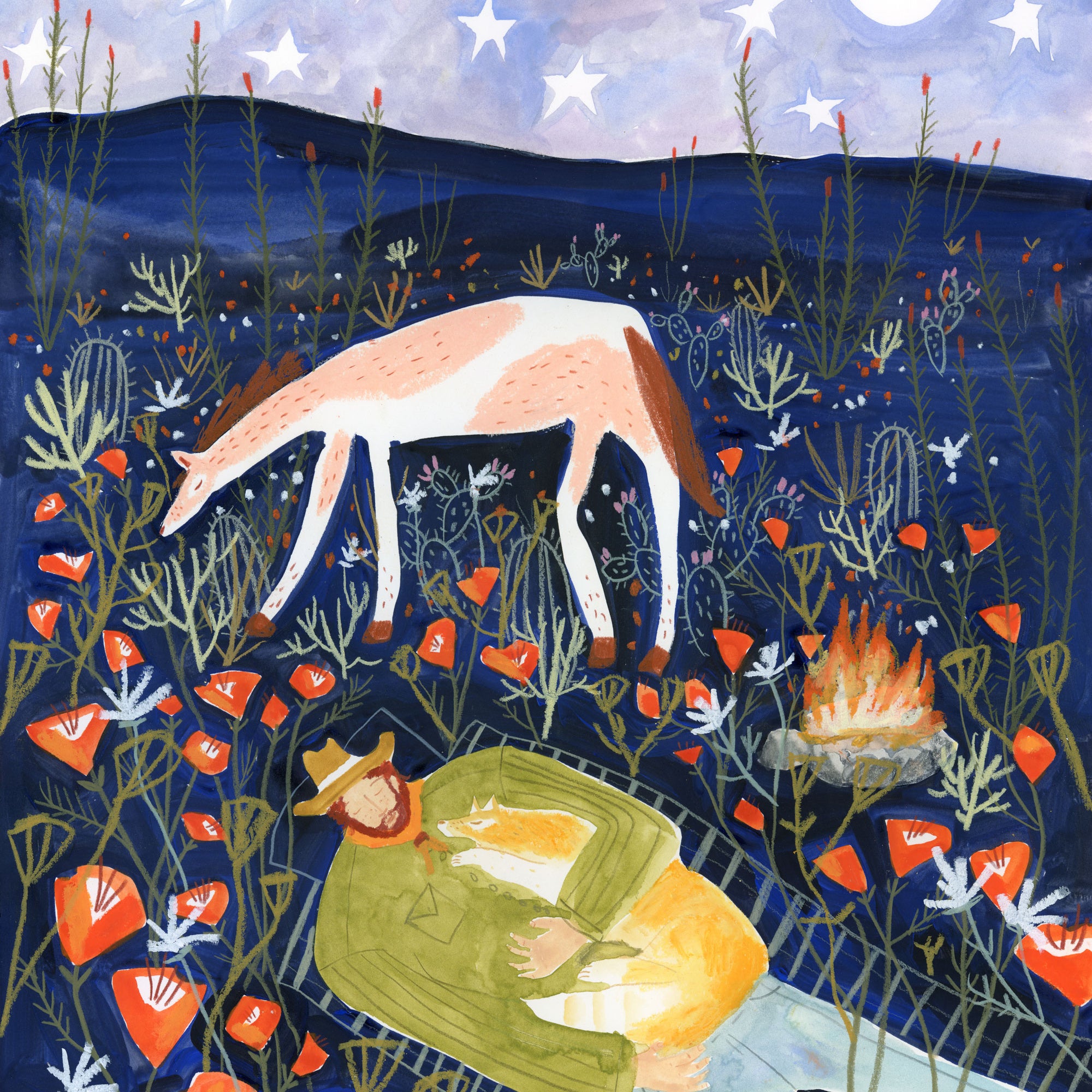 Sleeping-under-the-stars_melissa_lakey_28f7b659-e5ad-4659-aebe-001b27b51d90.jpg