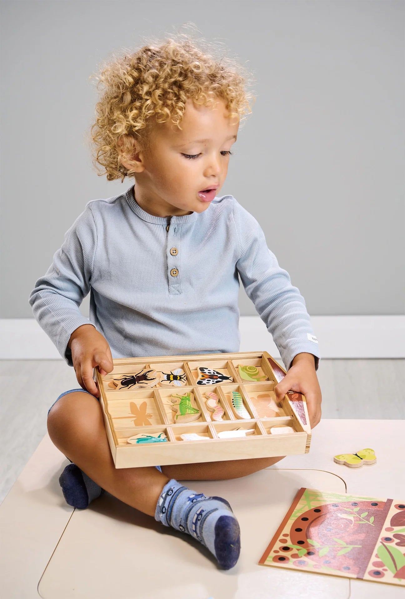 The Bug Hotel