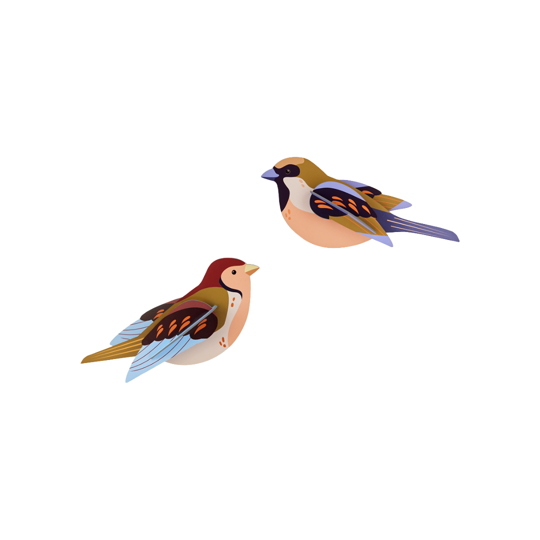 Untitled-105_a06f760c-6068-4ab9-9d7b-70277247620e.png