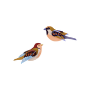 Sparrows - Set of 2 DIY Wall Art Kit