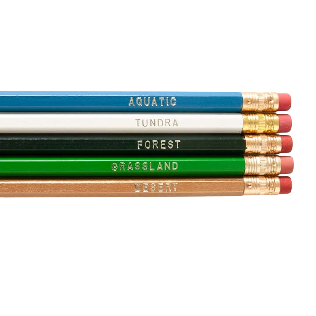 Biomes Pencil Set