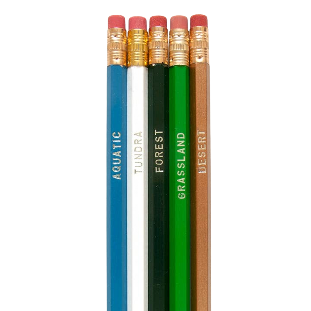 Biomes Pencil Set