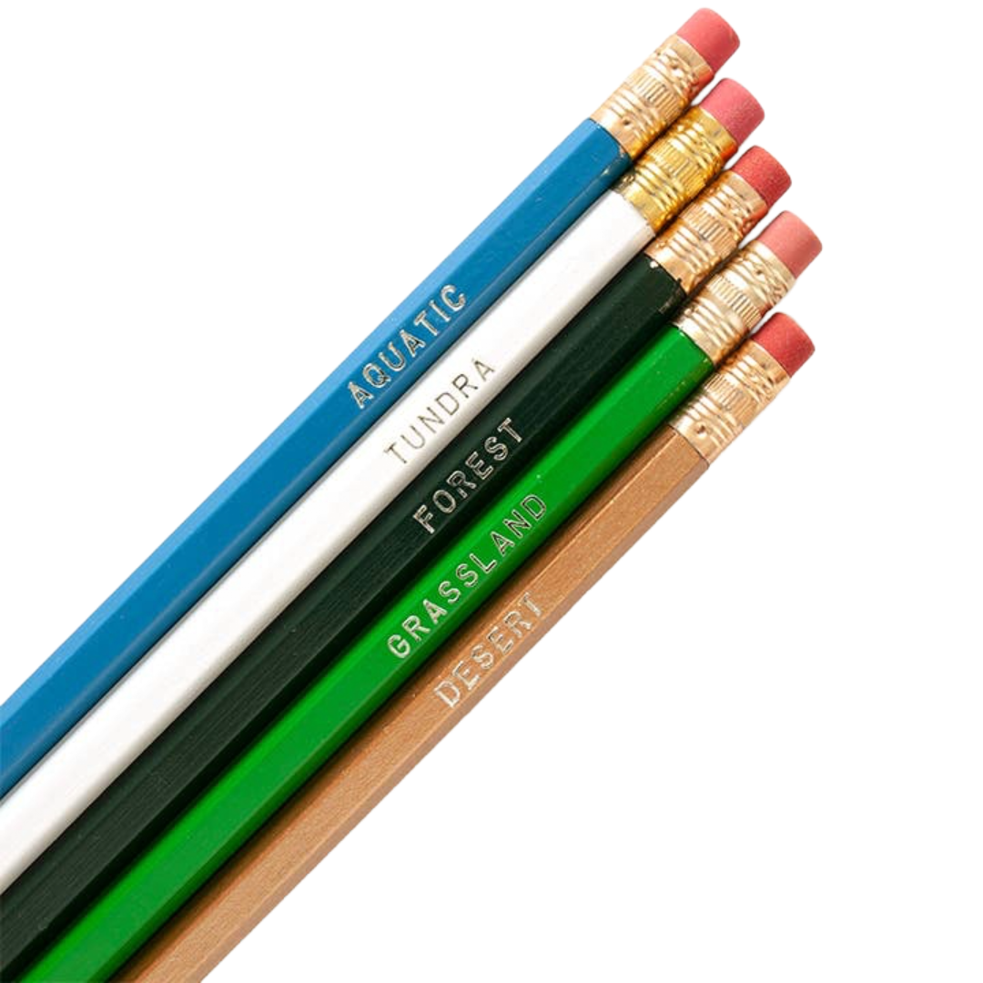 Biomes Pencil Set