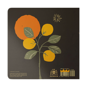 'What Do You Dream?' | Baby Book