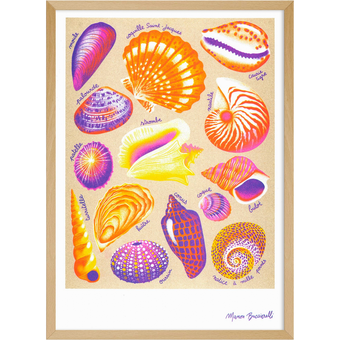 Shells | Art Print | Manon Bucciarelli A3 Poster