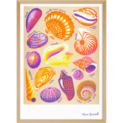 Shells | Art Print | Manon Bucciarelli A3 Poster