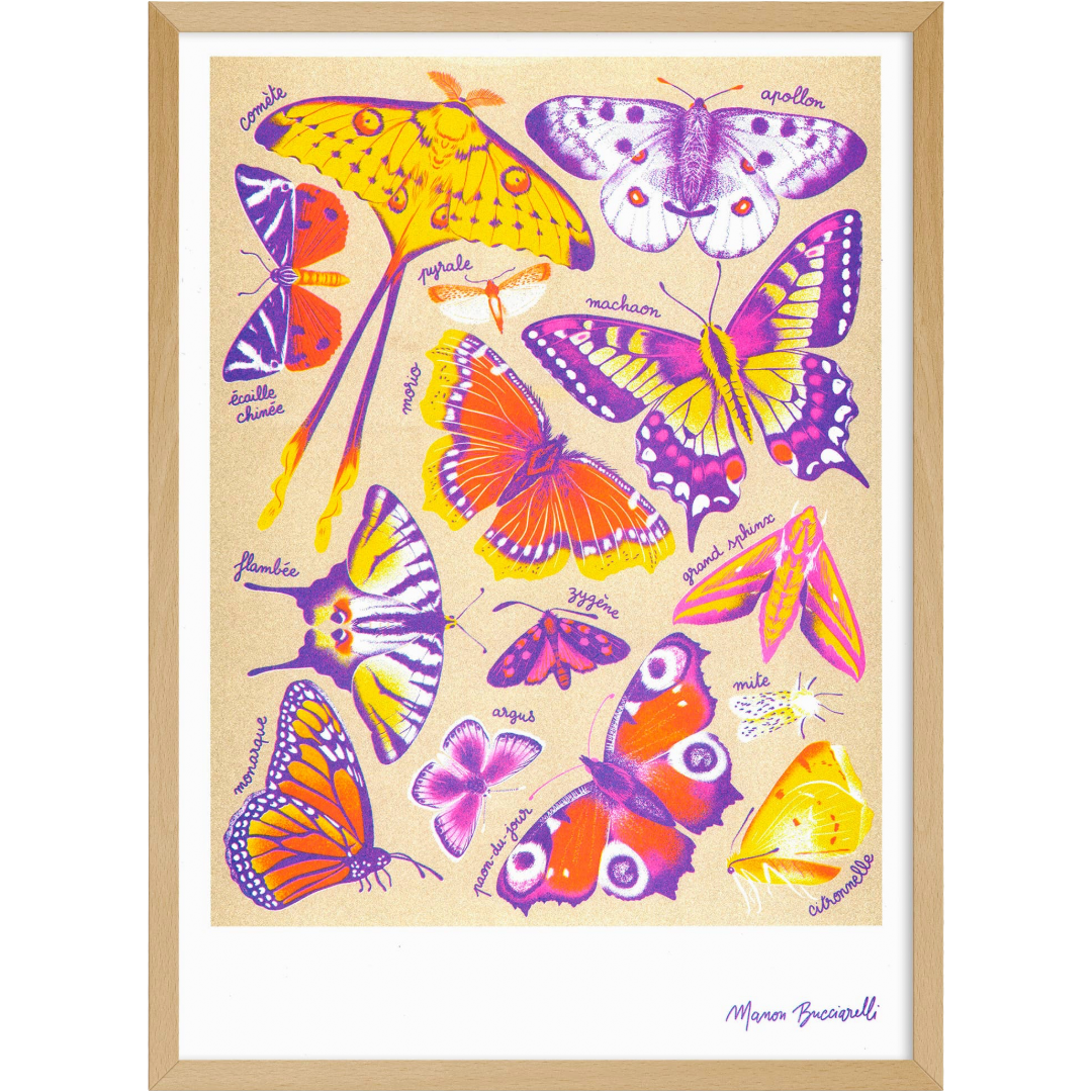 Butterflies | Art Print | Manon Bucciarelli A3 Poster