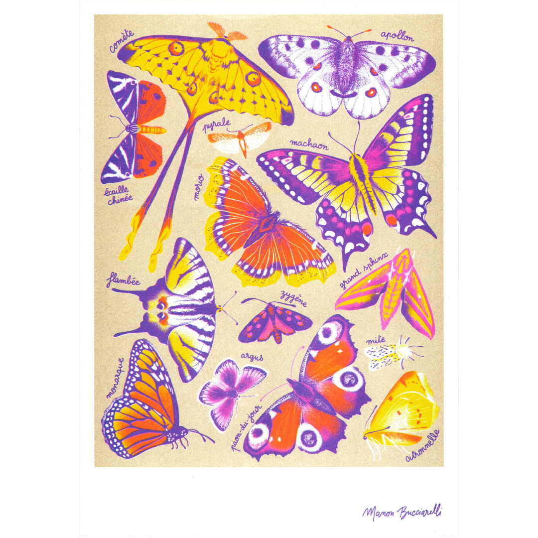 Butterflies | Art Print | Manon Bucciarelli A3 Poster