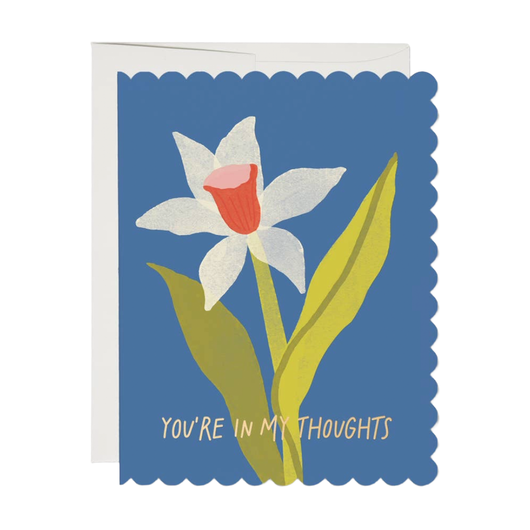 Scalloped Daffodil | Sympathy Card