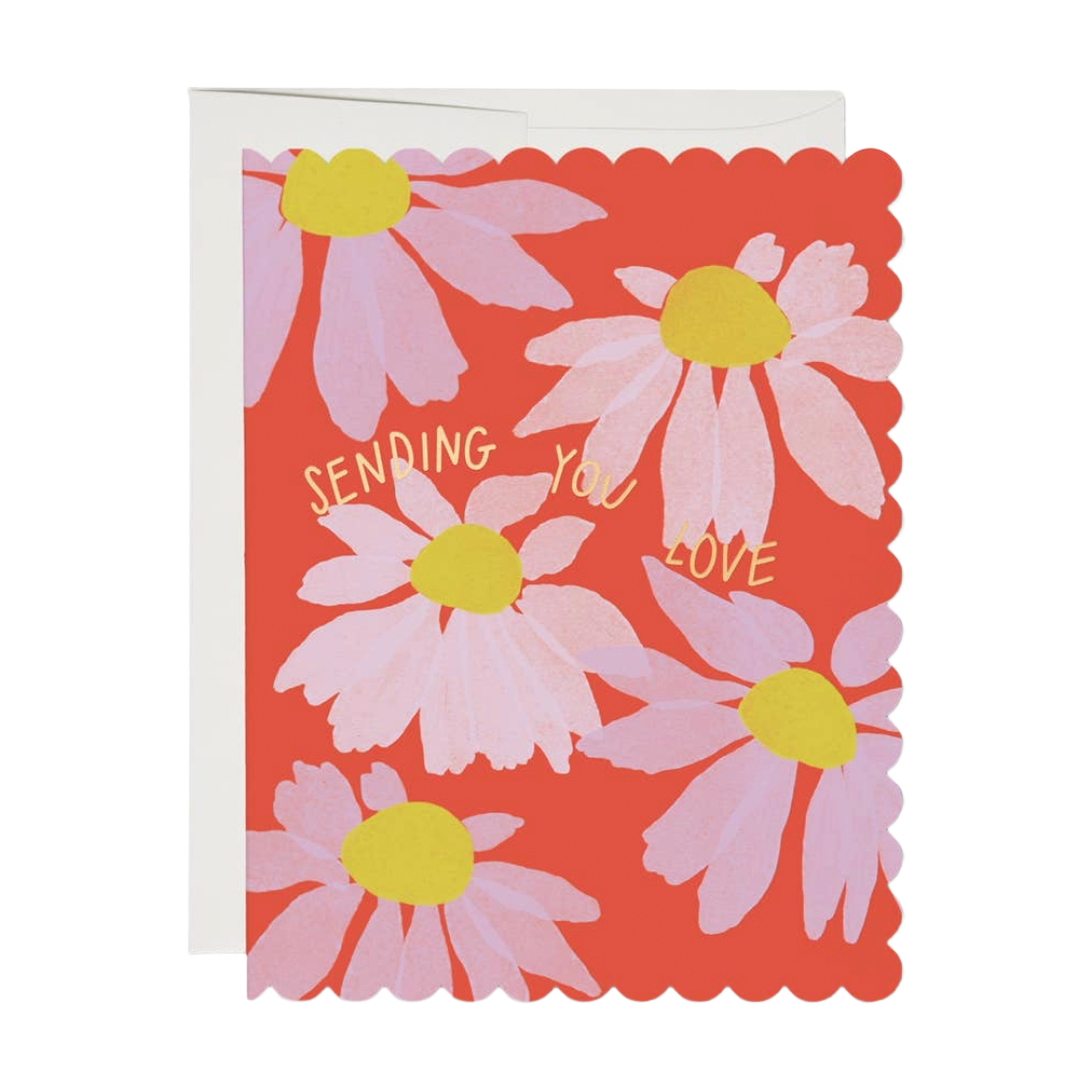 Scalloped Coneflower | Sympathy Card