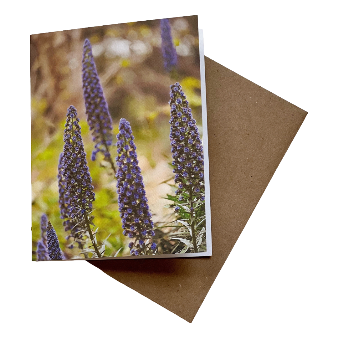 Montecito Purple | Greeting Card