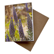 Montecito Purple | Greeting Card