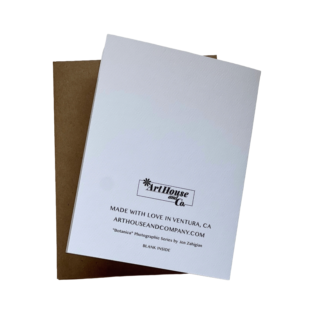 Forest Stay | Greeting Card