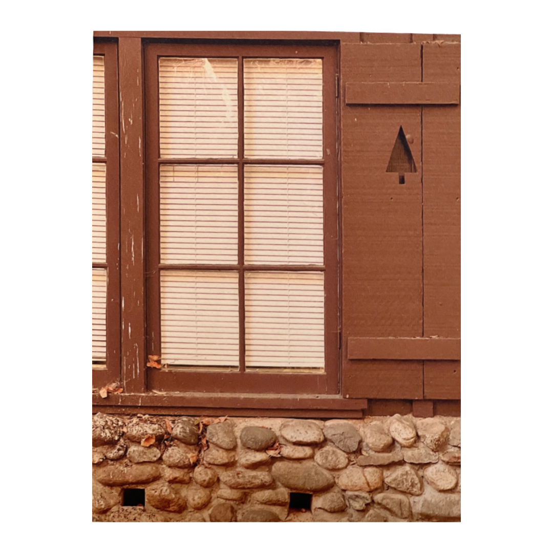 Forest Stay | Greeting Card