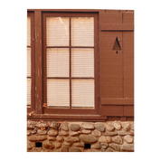 Forest Stay | Greeting Card