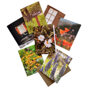 On the Trail | 7 Card Set