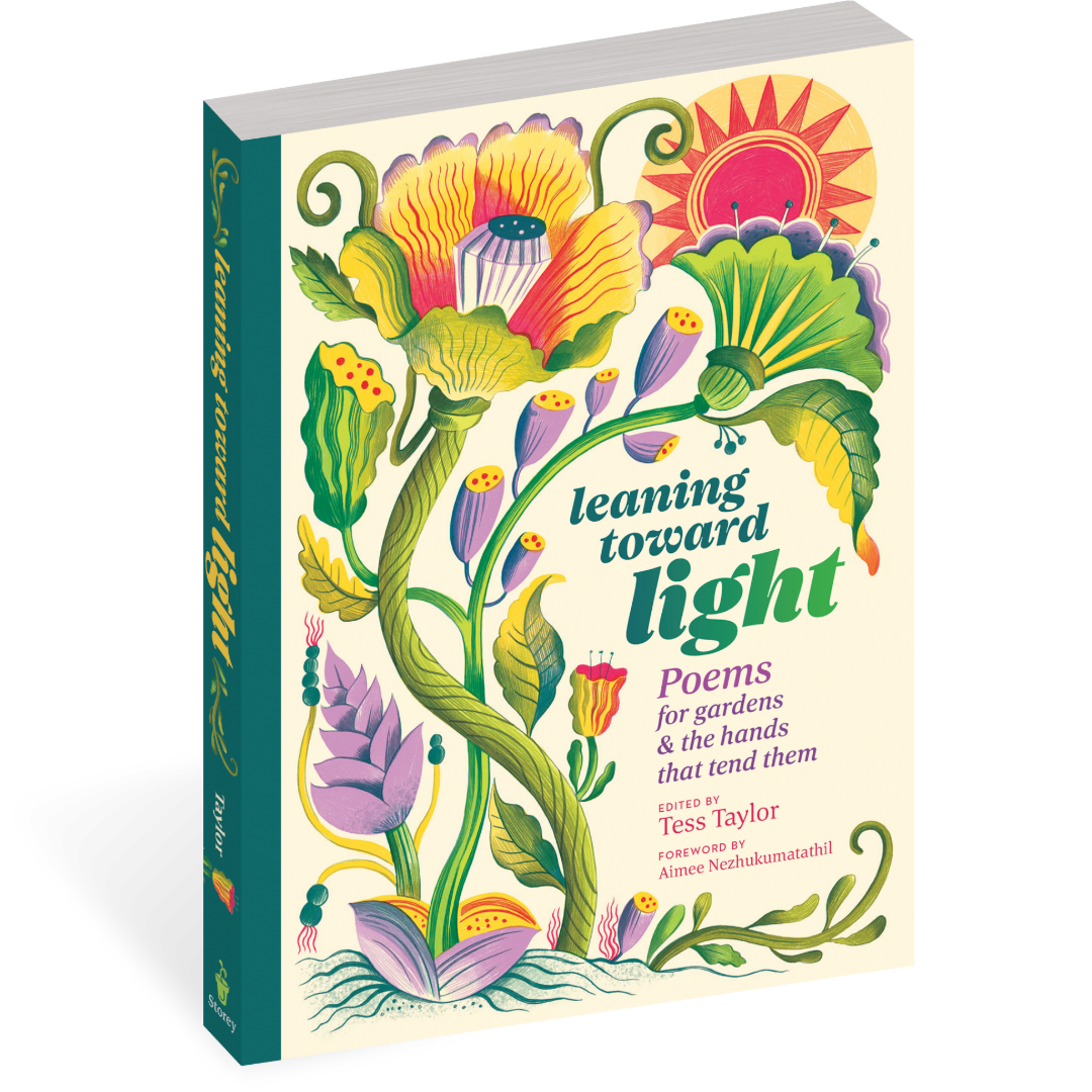 Book cover of 'Leaning Toward Light' with colorful floral design on a white background