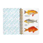 Judgy Fish | Googly Sticker Book