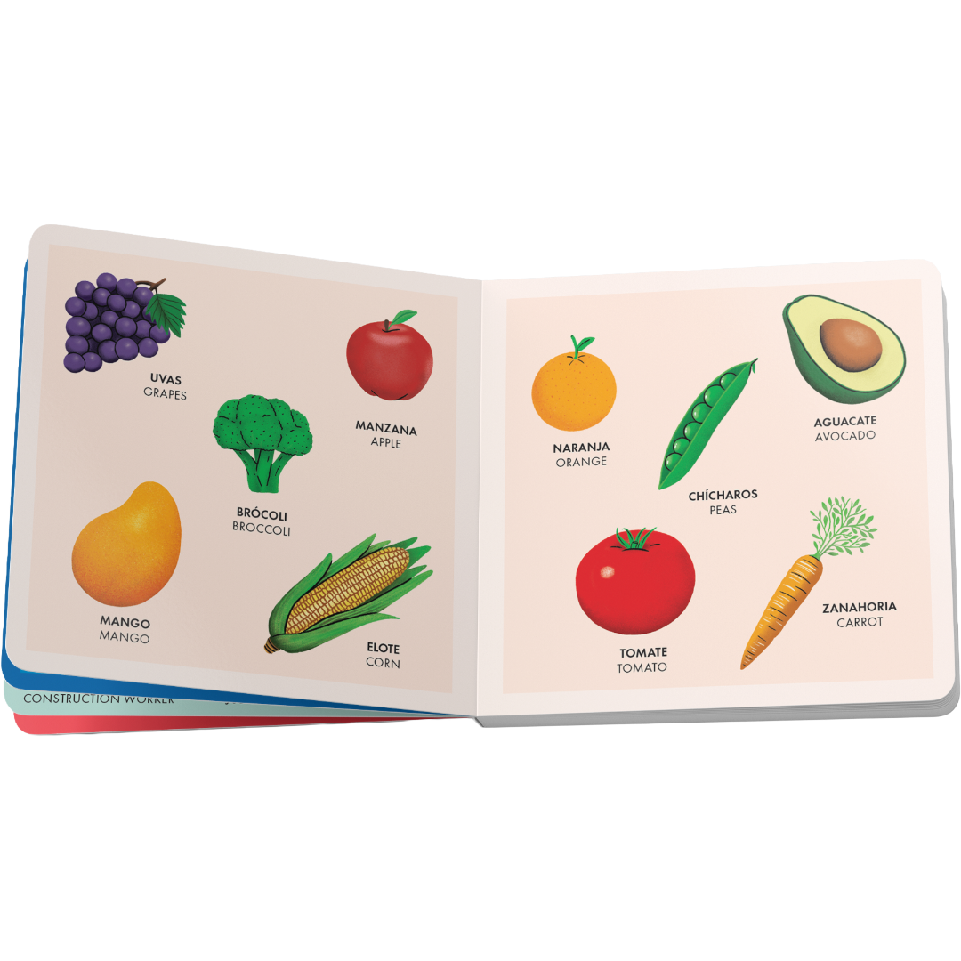 My Big Bilingual Book of First Words | English & Spanish