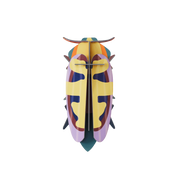 Mango Flower Beetle - 3D DIY Wall Art Kit