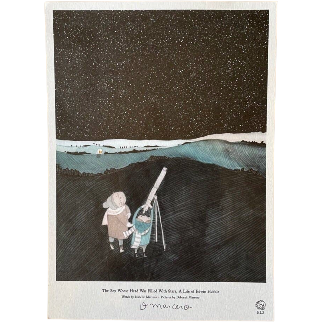 The Boy Whose Head Was Filled With Stars