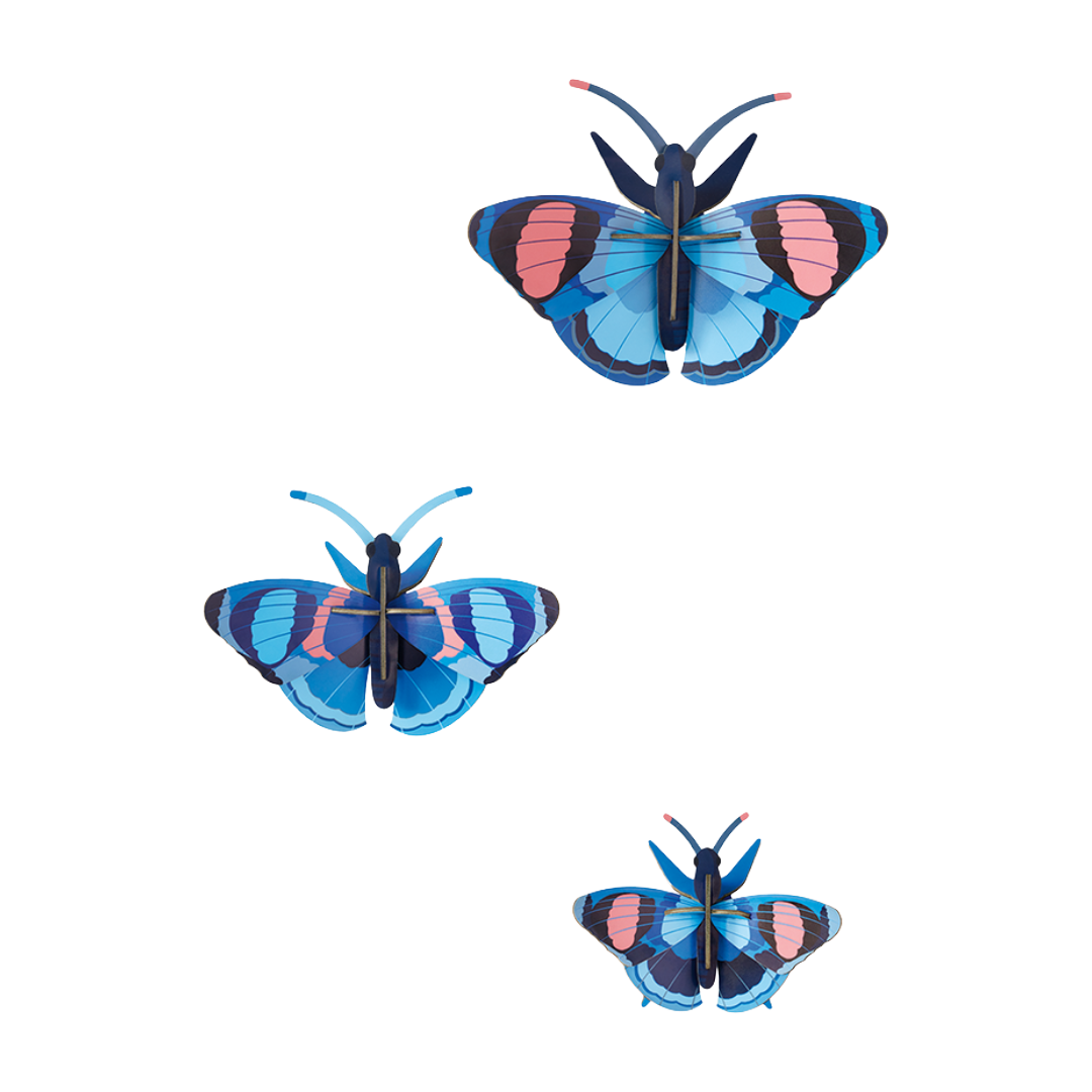 Peacock Butterflies | Set of 3 | 3D DIY Wall Art Kit