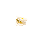 Fruit and Flowers | Micro Hair Claw Clip Set