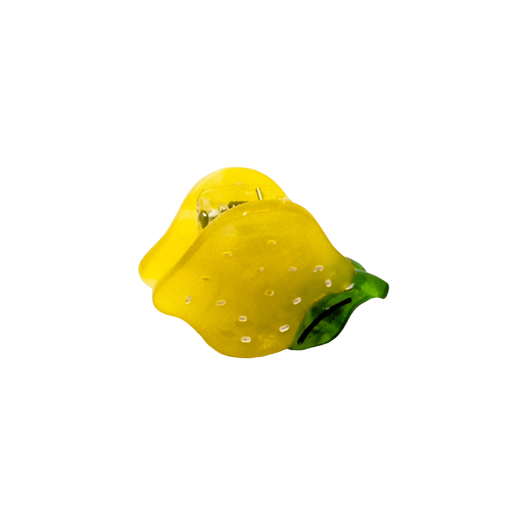 Fruit and Flowers | Micro Hair Claw Clip Set