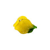 Fruit and Flowers | Micro Hair Claw Clip Set