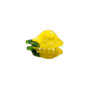 Fruit and Flowers | Micro Hair Claw Clip Set