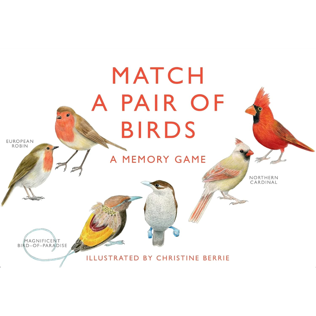 Match a Pair of Birds | A Memory Game