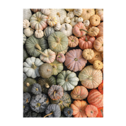 Heirloom Pumpkins 1000 Piece Puzzle