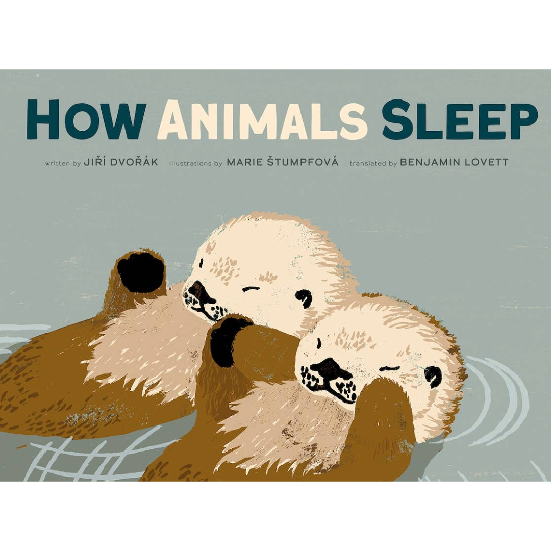 Book cover of 'How Animals Sleep' with illustrations of animals sleeping.