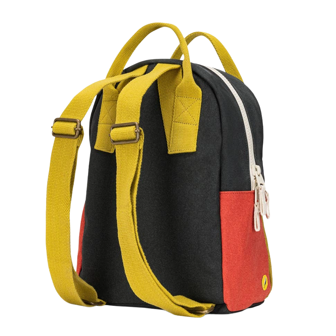 Carbon Cactus Back Pack Jr.