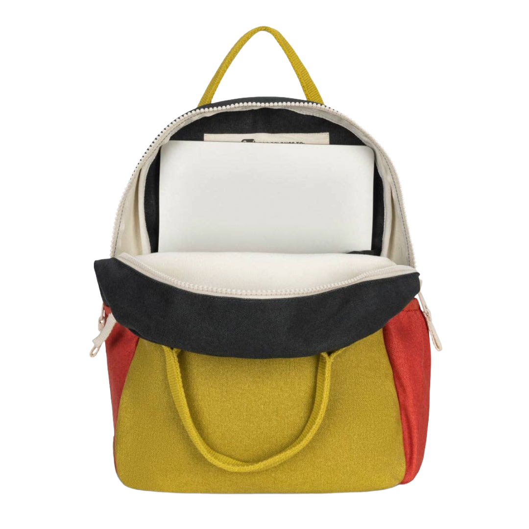 Carbon Cactus Back Pack Jr.
