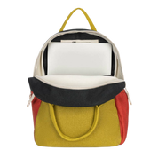 Carbon Cactus Back Pack Jr.
