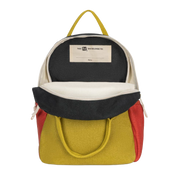 Carbon Cactus Back Pack Jr.
