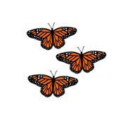 Monarch Butterfly | Sticker