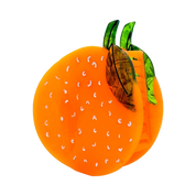 Midi Orange Hair Claw Clip