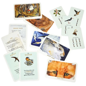 The Lost Spells Card Game