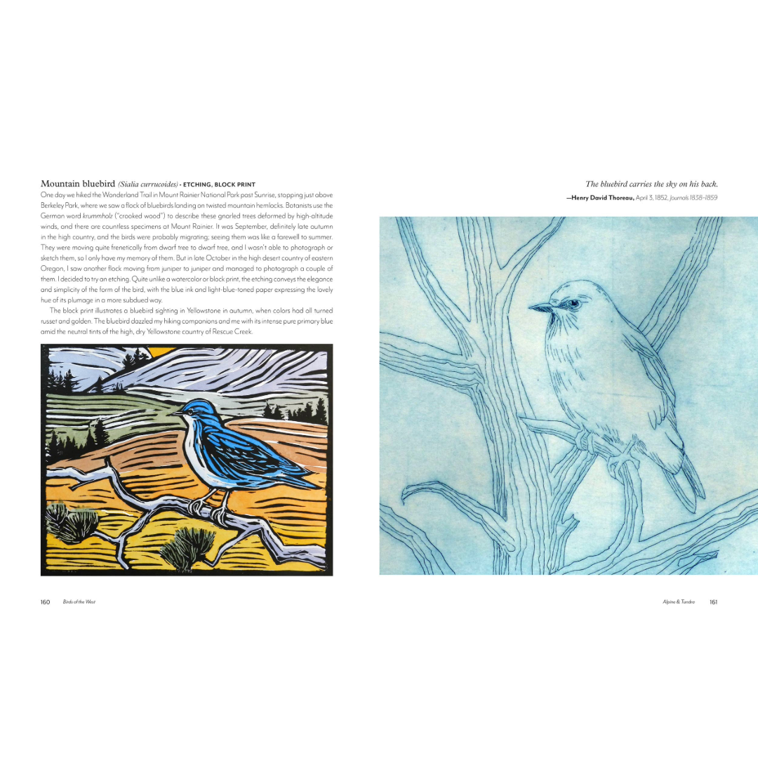 Birds of the West | An Artist's Guide
